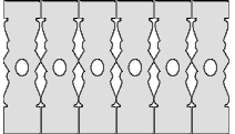 model sb11